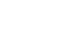 level icon